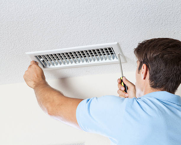 Best Attic Mold Removal  in Starke, FL